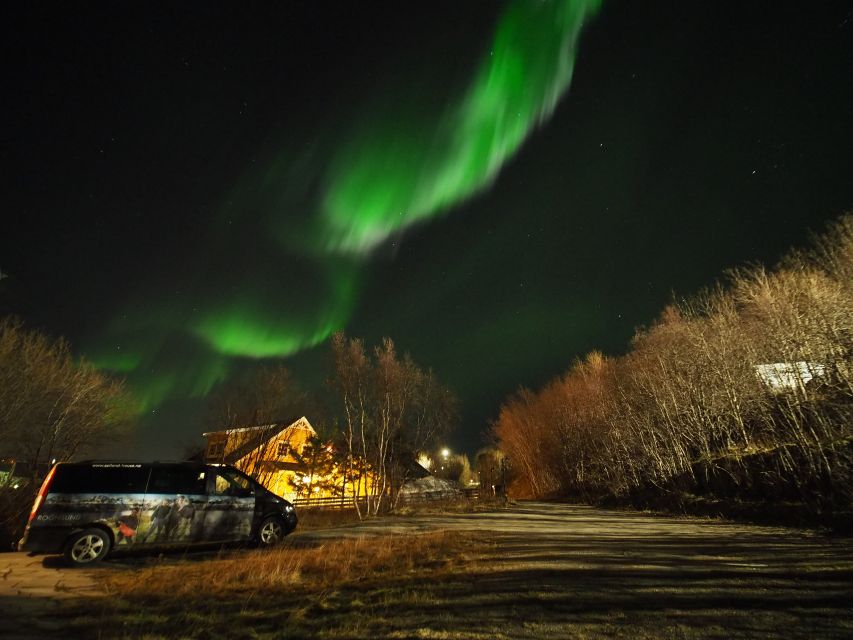 Alta: Small-Group Guided Northern Lights Tour - Key Points