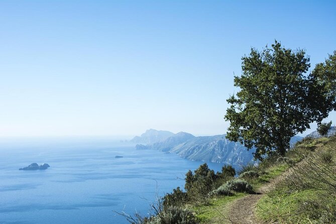 Amalfi Coast Private Tour Fm Sorrento Including Amalfi, Path of Gods & Positano - Key Points