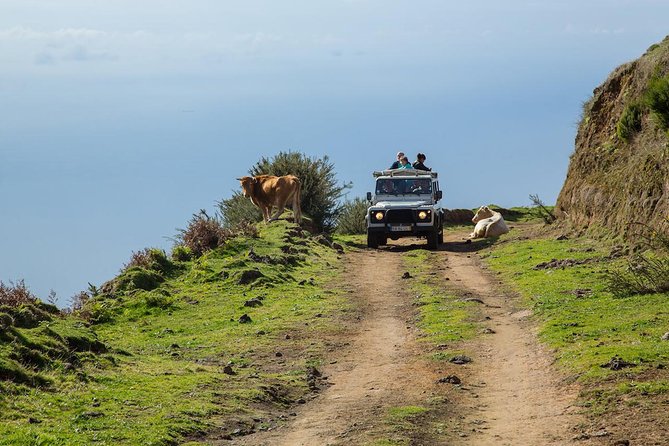 Amazing West - Jeep Safari Tour - Full Day - Key Points