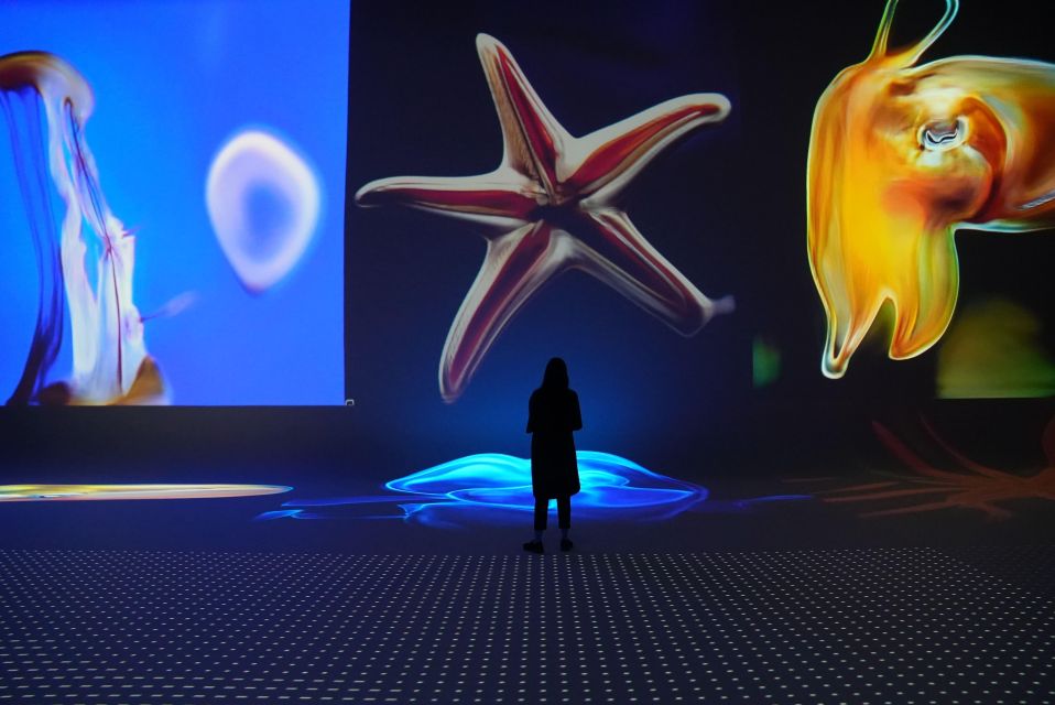 Amsterdam: Nxt Museum - Interactive Digital Art Entry Ticket - Key Points