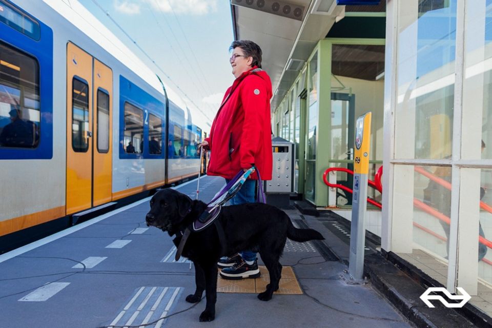 Amsterdam: Train Transfer Amsterdam From/To Utrecht - Key Points
