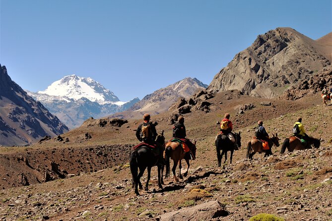 Andes Day Horseback Riding Tour and BBQ - Key Points