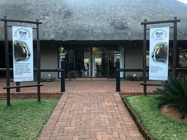 Ann Van Dyk Cheetah Centre Tour From Johannesburg or Pretoria - Key Points
