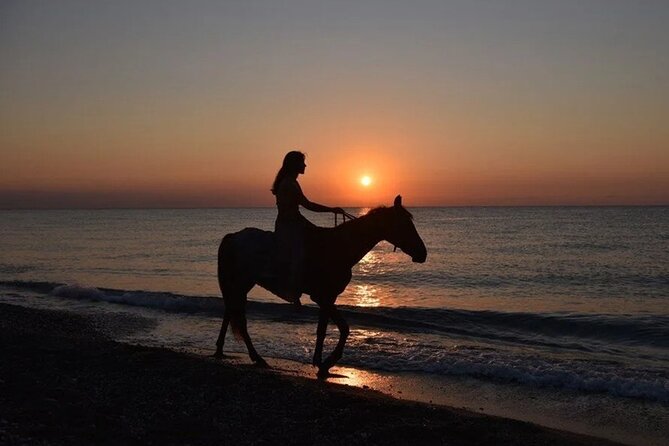 Antalya Horse Riding On Beach And Through The Forests For 2 Hours - Key Points