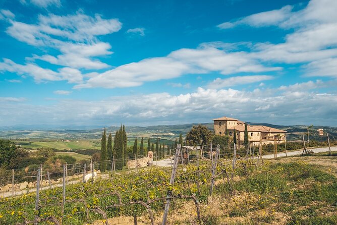 Aperitif on the Terrace of Podere Montale at Sunset - Key Points