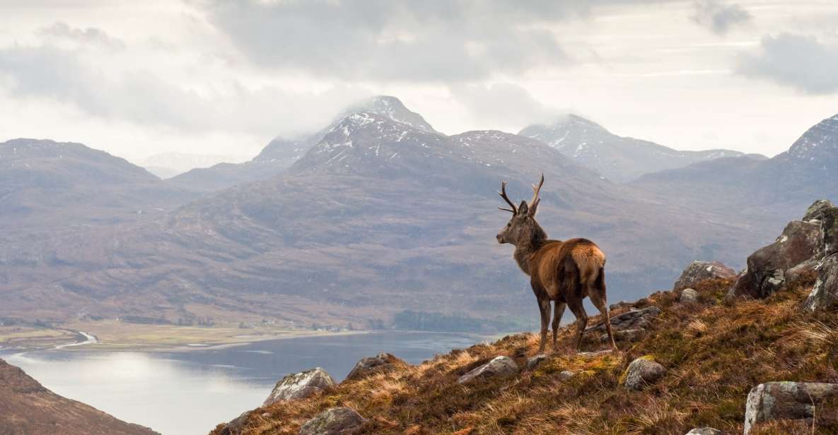 applecross loch carron wild highlands tour from inverness Applecross, Loch Carron & Wild Highlands Tour From Inverness