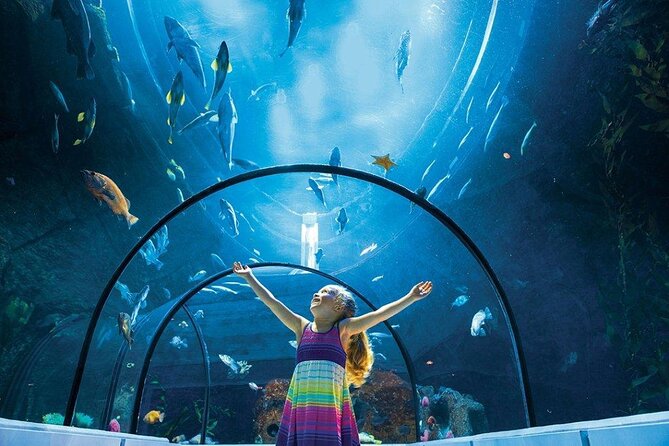 Aquarium Du Quebec: a Playground Overflowing With Life! - Key Points