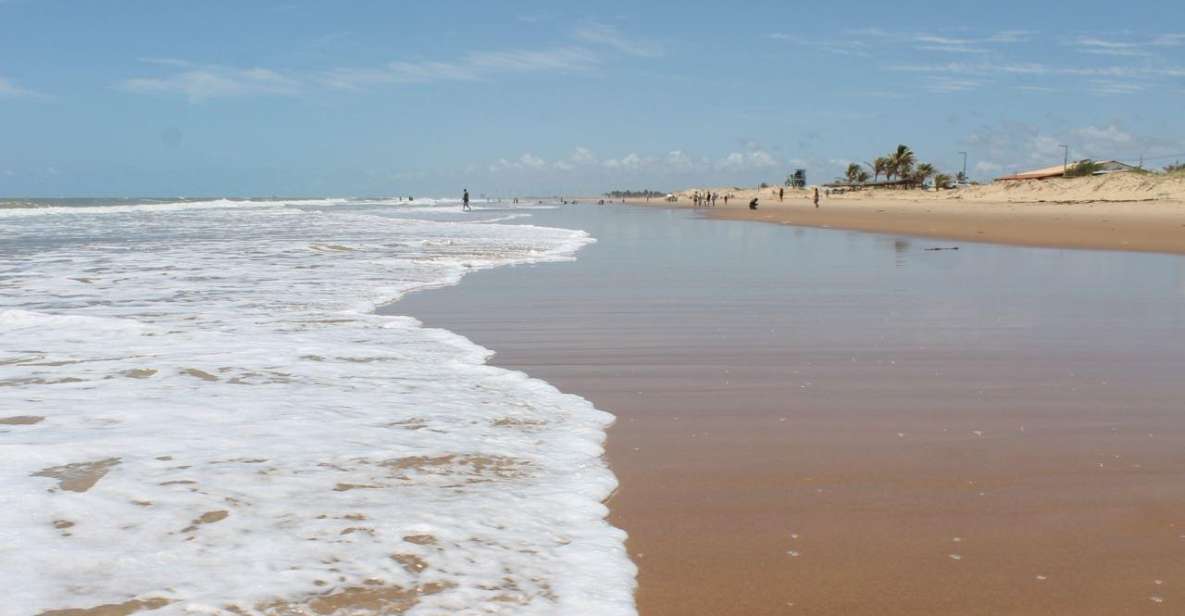Aracaju: Tour to Saco Beach - Location and Description