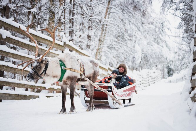 Arctic Circle Highlights Family Day By Minibus - Lapland Family Adventures