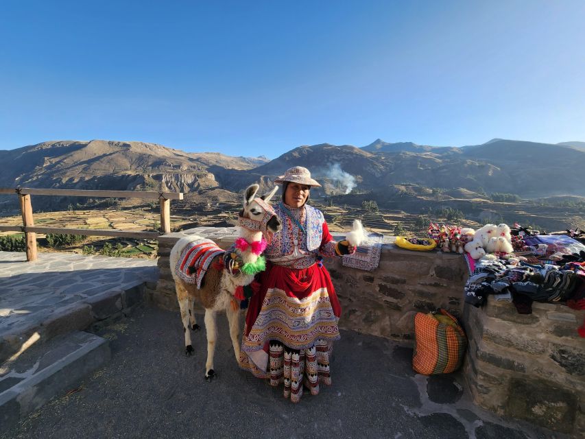 Arequipa: Full Day Tour to the Colca Canyon - Key Points