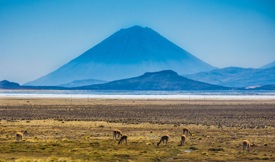 Arequipa: Reserve of Salinas and Aguada Blanca-Lojen Volcano - Key Points