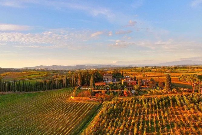 Arezzo: Wine Tasting Experience in Valdichiana Area - Key Points