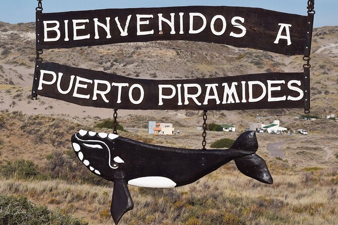 Argentina Tour of Península Valdés  – Puerto Madryn
