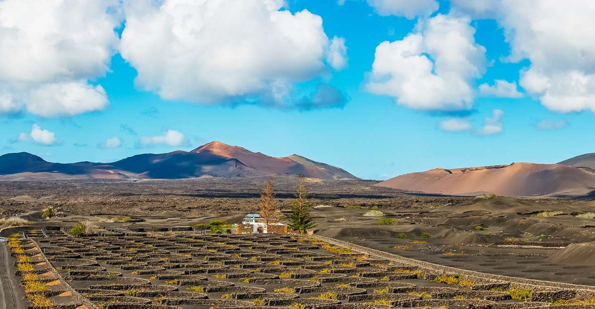 Arrecife: Timanfaya and Green Lagoon for Cruise Passengers - Key Points