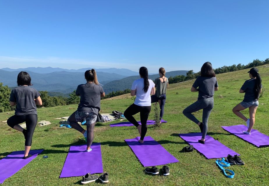 Asheville: Yoga on a Mountain Hike - Key Points