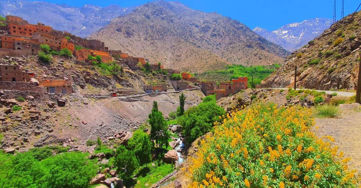 Atlas Mountains and Camel Ride & 3 Valleys With Waterfalls - Key Points