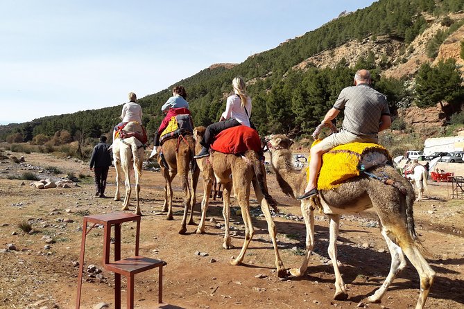 Atlas Mountains and Camel Ride Day Trip From Marrakech - Key Points