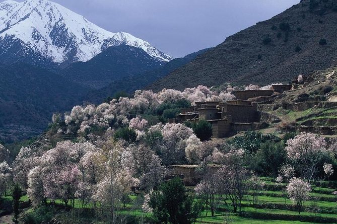 Atlas Mountains, Desert Agafay, Waterfalls and 3 Valleys - Marrakech Day Trip - Tour Highlights