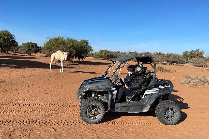 ATV Buggy Adventure From Agadir and Taghazout - Key Points