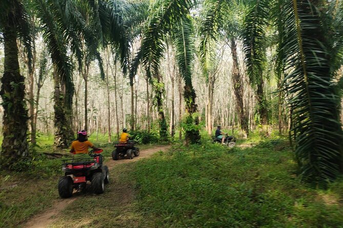 ATV Jungle Adventure in Krabi With Roundtrip Transfer - Package Overview