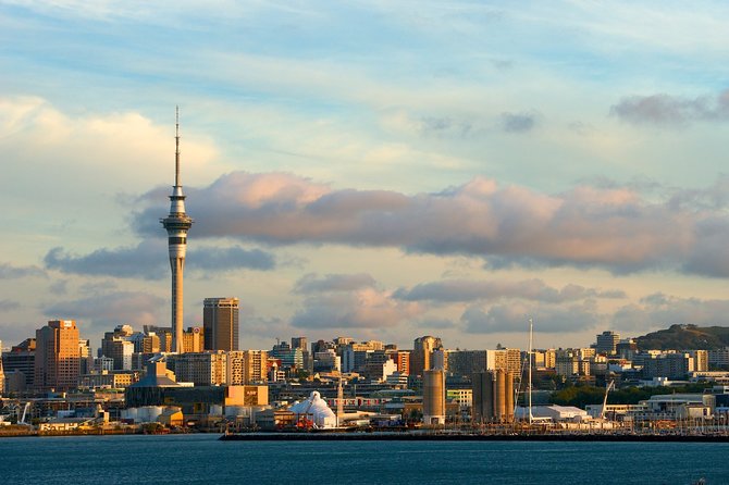 Auckland Airport Transfers: Auckland Airport AKL to Auckland in Business Car - Key Points