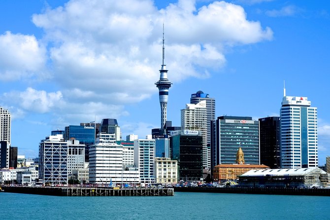 Auckland City Discovery Experience - Private Tour From Auckland - Key Points