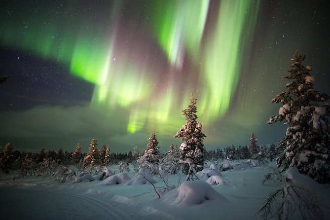 Aurora Borealis Hunt With Snowmobiles - What to Expect