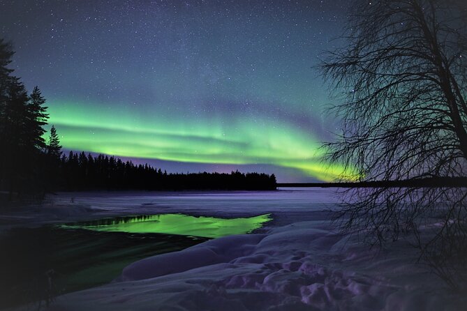 Aurora Hunt and Photography Tour From Rovaniemi - Key Points