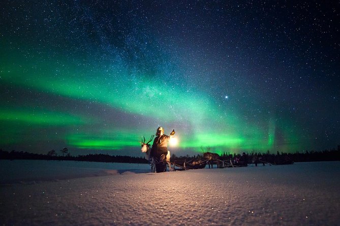 Aurora Hunting by Reindeer Sleigh