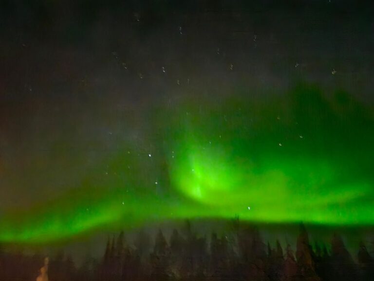 Auroras in Sea Lapland