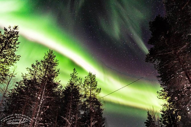 Auroras - Northern Lights Tours by Aurora Experts - Rovaniemi - Key Points