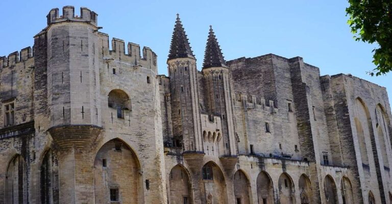 Avignon: Wine Tasting Tour