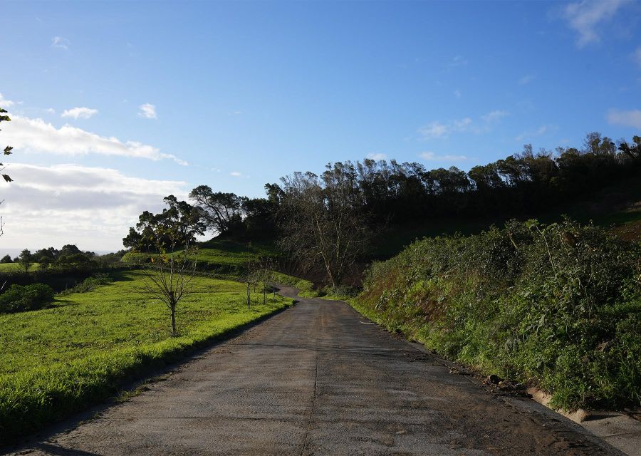 Azores: São Miguel and Lagoa Do Fogo Hiking Trip - Key Points