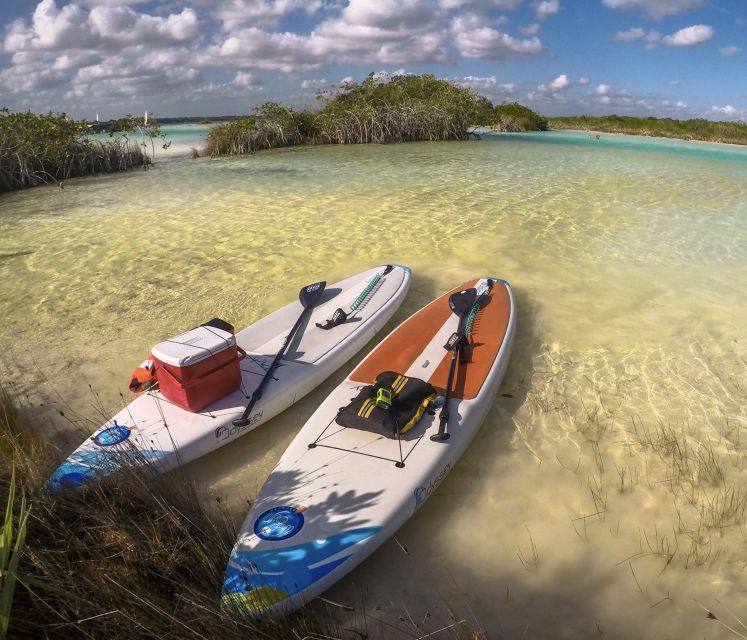 Bacalar: Full-Day Paddleboard Rental - Key Points