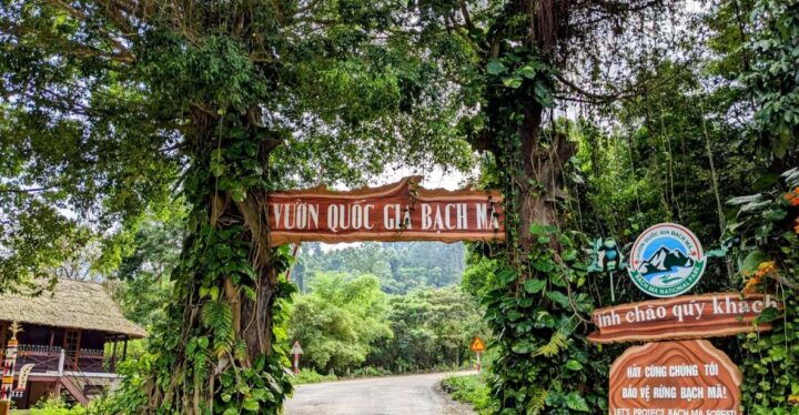 Bach Ma National Park Trekking Tour : Hoi An / Da Nang / Hue