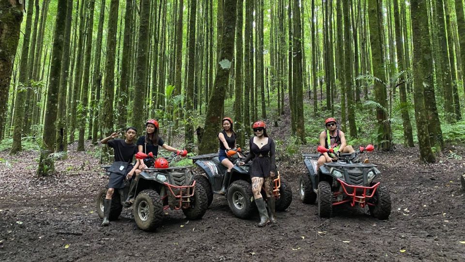 Bali: Bedugul Real Forest Quad Bikes ATV Adventures - Key Points