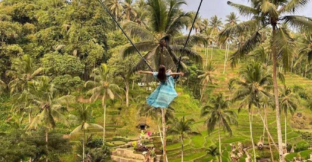 Bali: Hidden Waterfalls Tour and Swing Experience in Ubud - Key Points