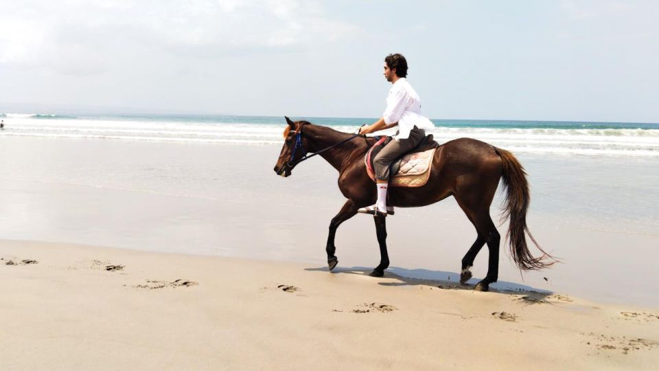 Bali: Horse Riding Seminyak Beach 1 Hour Experience - Key Points