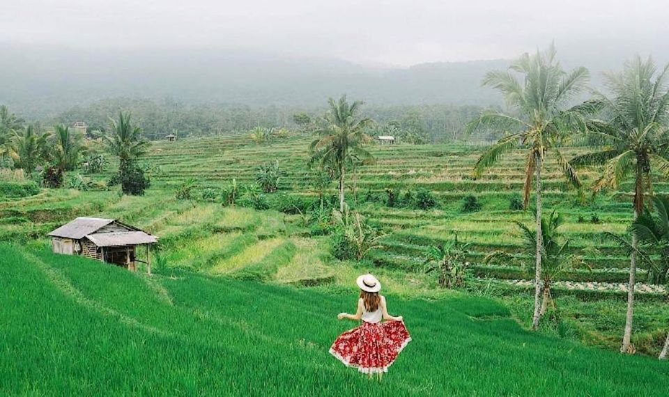 Bali : Jatiluwih Rice Terrace, Hidden Gem Waterfall & Temple - Key Points