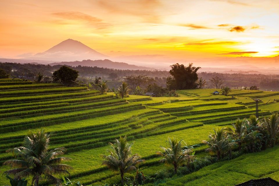 Bali: Jatiluwih Rice Terrace Sunrise Trekking With Breakfast - Key Points