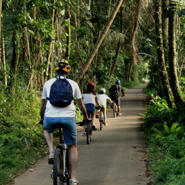 Bali: Kintamani Private Downhill Bike Tour & Local Culture - Key Points