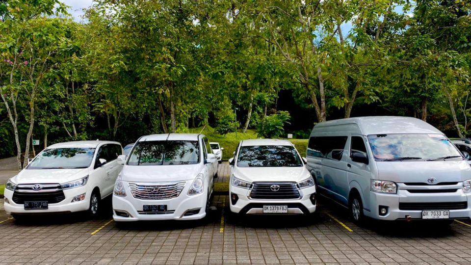 Bali: One Day Private Car Charter With Driver - Key Points