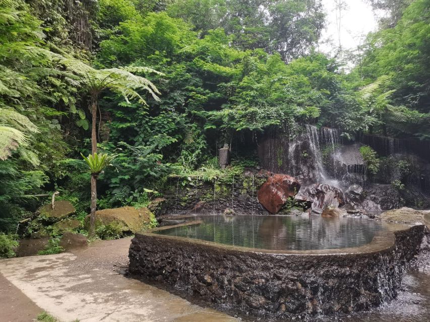 Bali: Penglipuran Village, Besakih Temple & Hidden Waterfall - Key Points