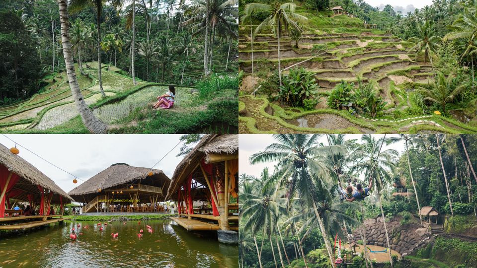 Bali: Private Tour 10 Hours Kuta, Ubud, Uluwatu, Waterfall. - Key Points