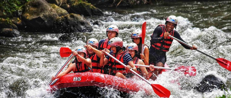 Bali Rafting Adventures And Ubud Day Trip