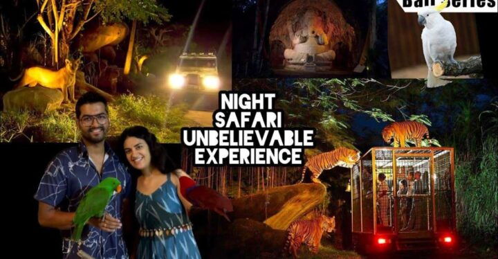 Bali: Return Private for Night Safari Bali Safari Marine - Key Points