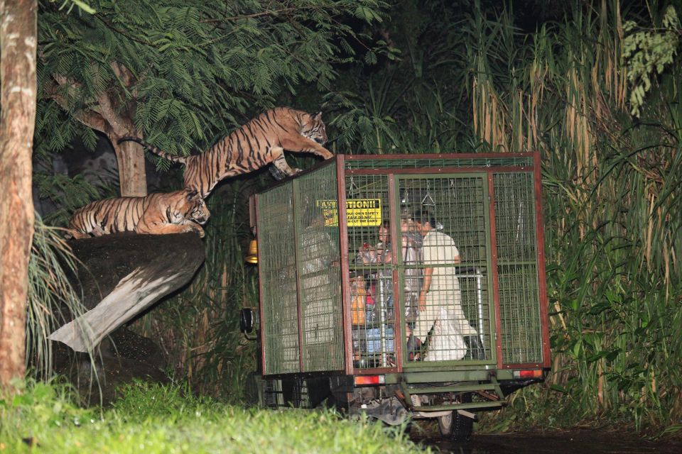 bali return private transfer for night safari Bali: Return Private Transfer for Night Safari