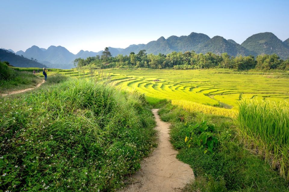 Bali: Rice Terraces Guided Hiking Experience - Key Points