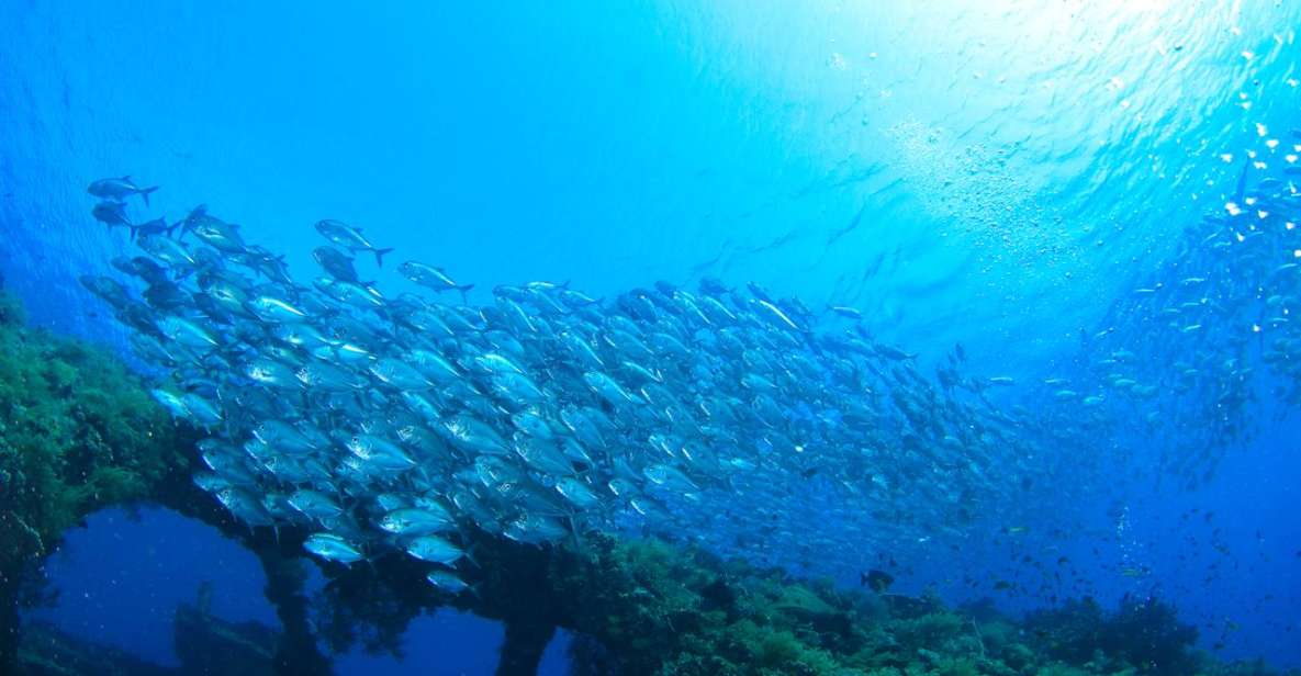 Bali: Tulamben USAT Liberty Wreck Scuba Diving - Key Points