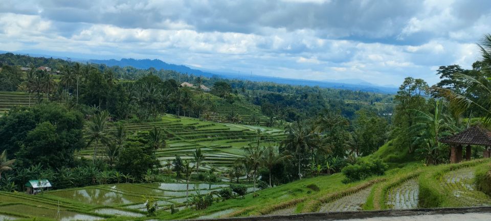 Bali: Ubud Costumize Tour With Private Driver - Key Points